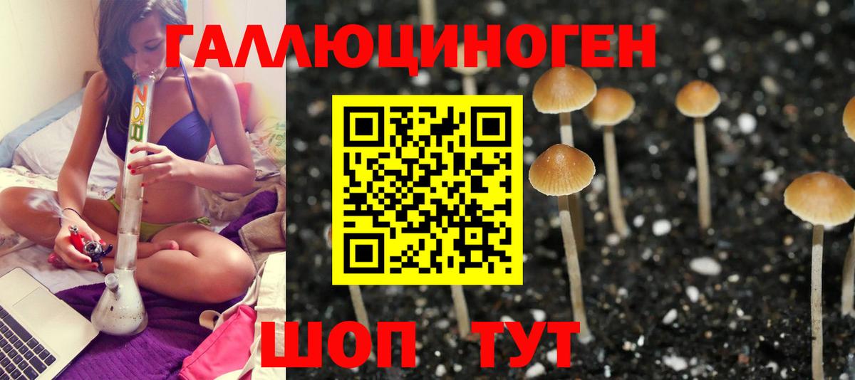 Галлюциногенные грибы прущие грибы Кохма