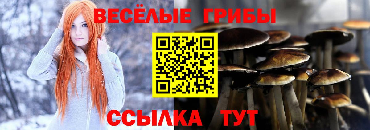 Галлюциногенные грибы ЛСД  Вход с VPN  Кохма 